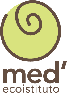 Ecoistituto MED Logo